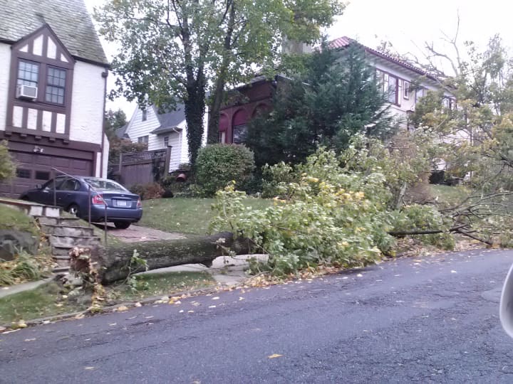 A State of Emergency is still in effect in Mount Vernon with trees down across the city including one on E. Sidney Avenue.