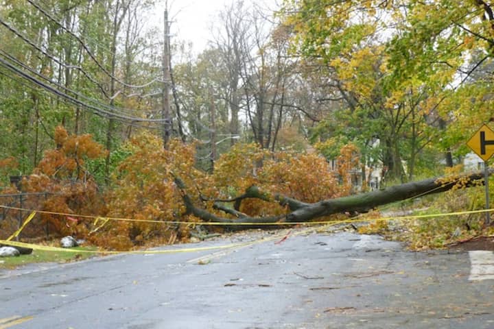 Dozens of roads in Greenburgh remain closed due to downed trees and wires, police said.