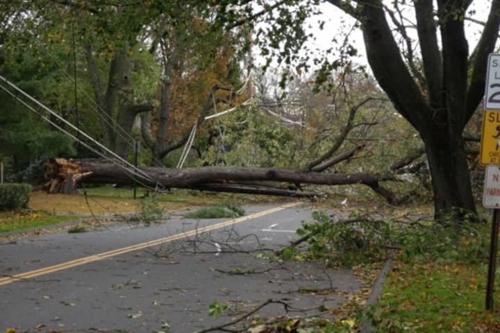 Has the power restoration effort in Fairfield been better after Hurricane Sandy than last year&#x27;s big storms? 