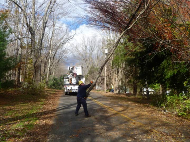 A worker moved a tree blocking access to Ledgewood Drive in Weston. 