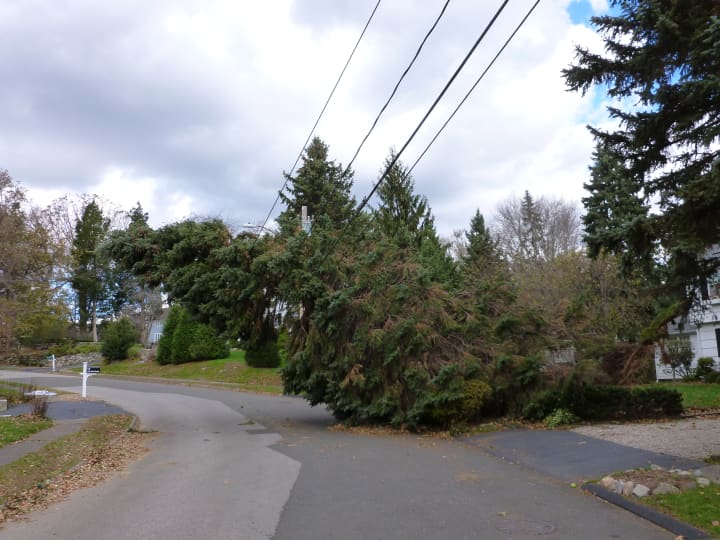 A fallen tree on Old Field Road in Norwalk Friday has almost brought down power lines. 