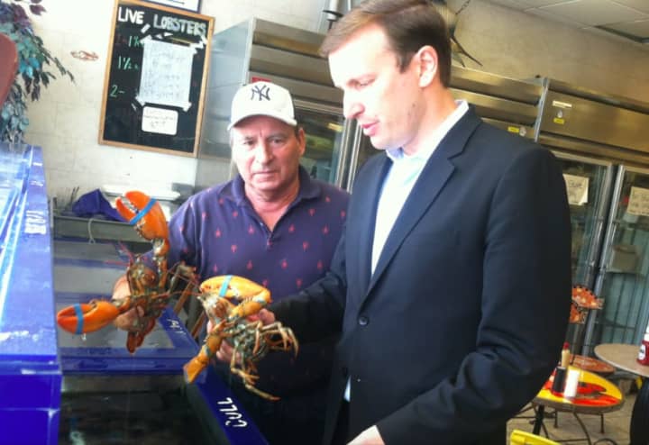 U.S. Sen. Chris Murphy, D-Conn., and Roger Frate, owner of Darien Seafood Market hold lobsters during a stop by Murphy Tuesday at Frate&#x27;s business to talk about the health of the lobster industry.