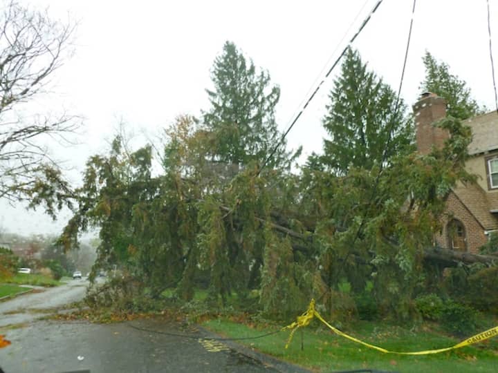 Greenburgh police received multiple reports of trees landing on houses and cars during Hurricane Sandy.