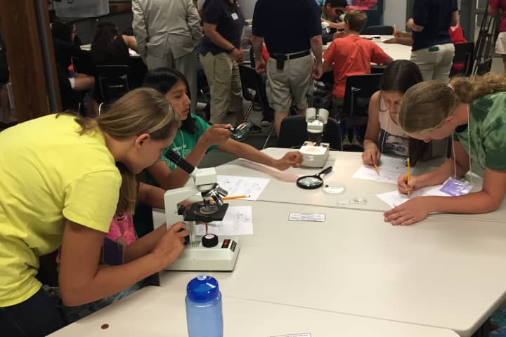 Kids examine marine organisms under the microscope as part of a week-long camp program at the Maritime Aquarium in Norwalk.