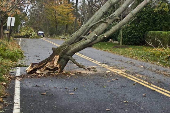 Darien has canceled its Halloween celebrations in anticipation of downed trees and wires from a second storm later this week.