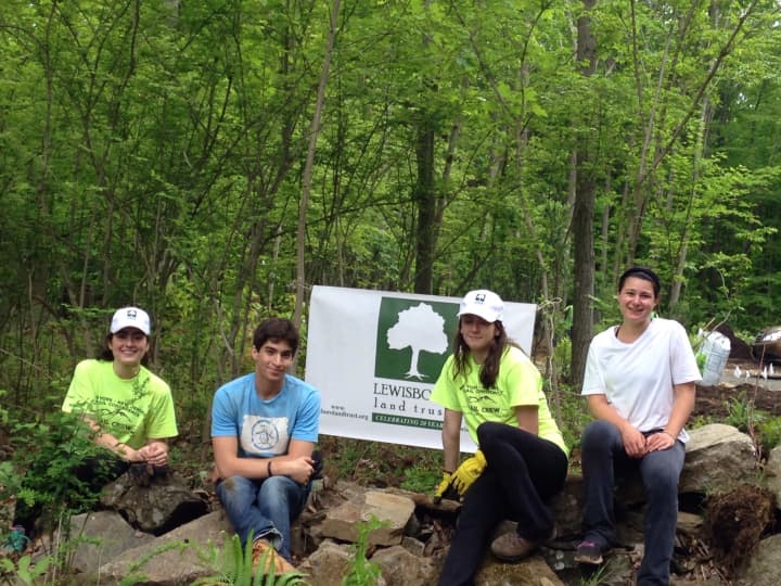 Interns at work for the Lewisboro Land Trust.