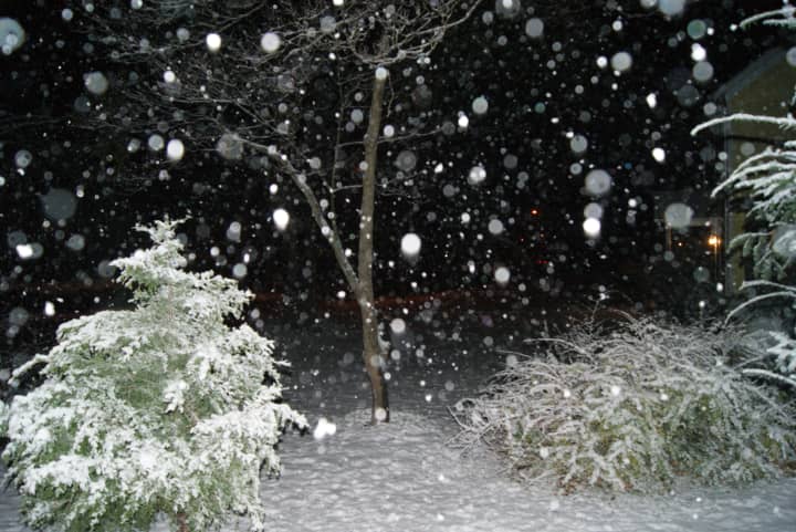 Reader Megan Torgerson sent us this photo from near her home in New Canaan.