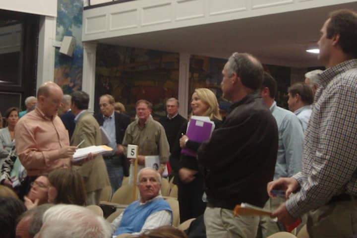 Members of the Darien RTM stand up and vote at a past meeting.