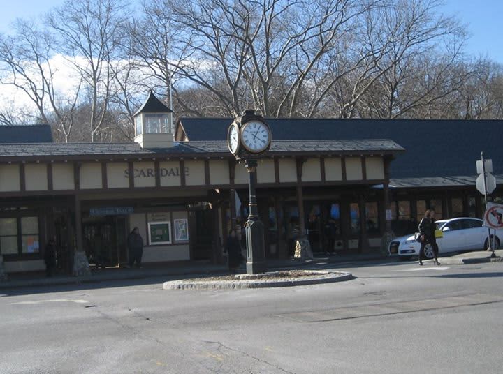 Scarsdale led the way in Niche.com&#x27;s yearly ranking of the best suburbs in America. 13 other Westchester County towns cracked the list&#x27;s top 100.
