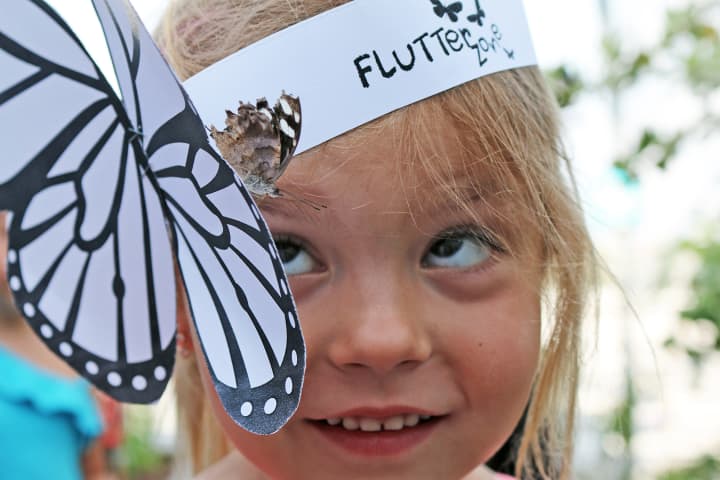 The &quot;Flutter Zone&quot; will be at the Maritime Aquarium at Norwalk all summer. 