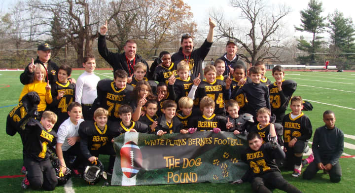 The 2012 White Plains Bernies fifth- and sixth-grade team won the Westchester Youth Football League title.
