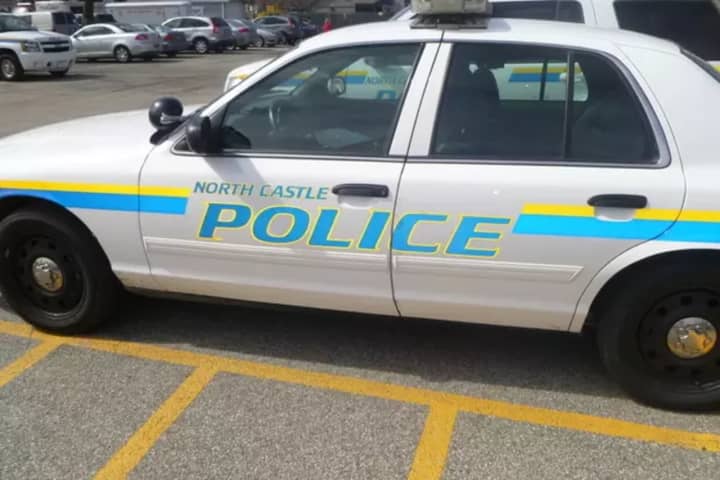 North Castle Police came to the rescue Saturday of a dog that had been locked inside a hot car on Main Street.