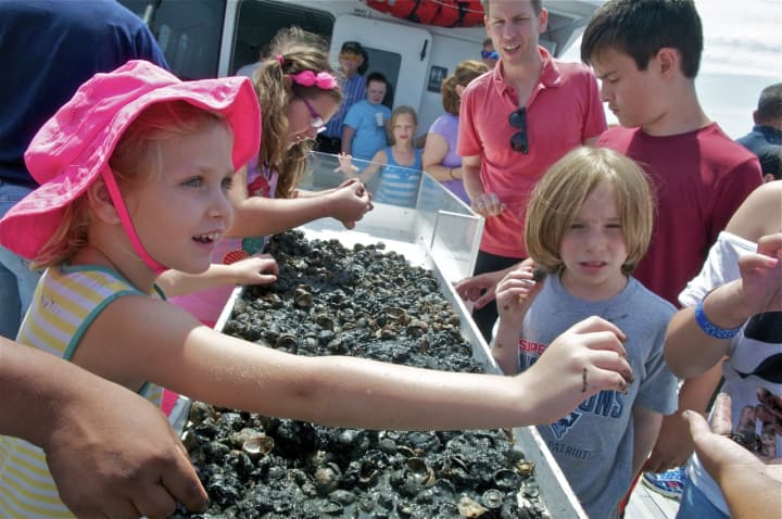 Children found baby crabs and fish, eggs, and other marine life on a study cruise at the Maritime Aquarium.