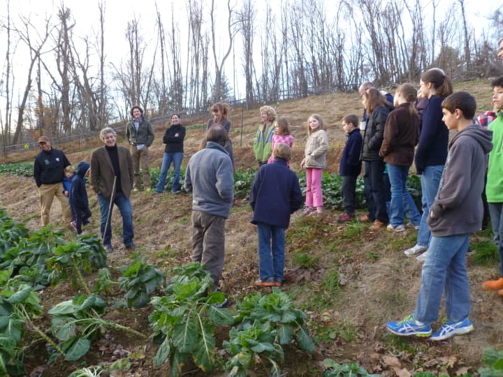 Members of North Salem&#x27;s 4H Club toured Farmer &amp; the Fish Sunday and learned about farm-to-table meals and sustainable agriculture.