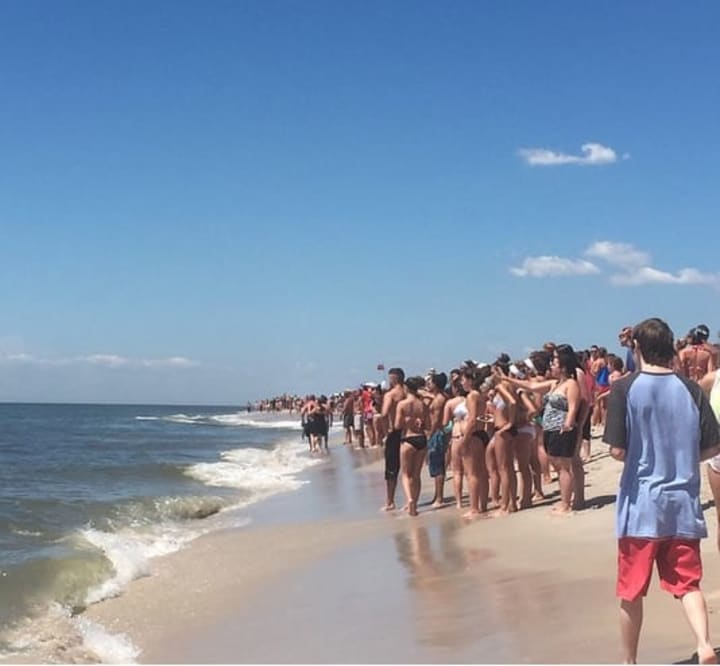Some of the approximately 2,000 beachgoers at Tobay Beach in Nassau County eye the waters after shark sightings Thursday.