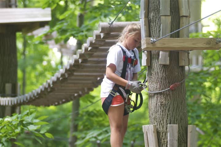 Adventure Park in Bridgeport will donate to the Arbor Day Foundation during a 3-day event Friday through Sunday.