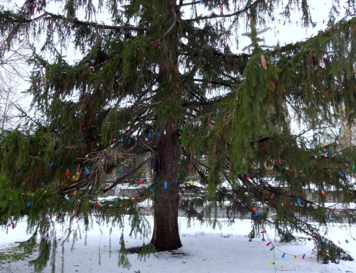 Bronxville will open the holiday season Saturday with its annual tree-lighting ceremony.