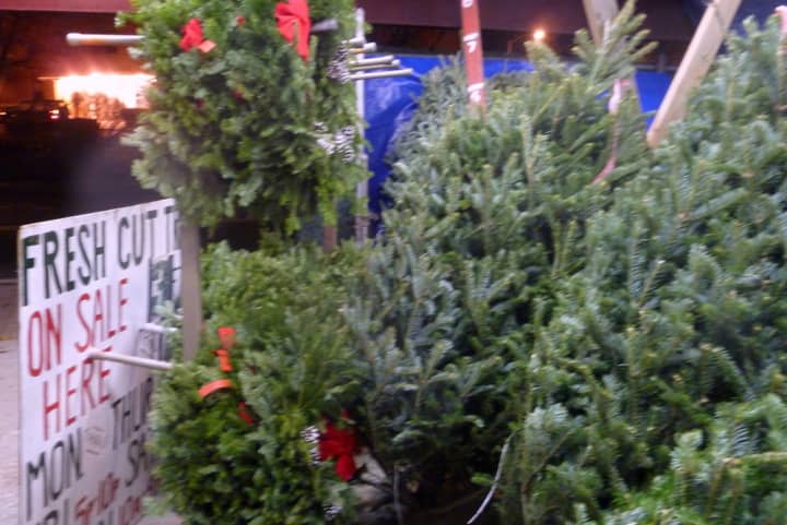 Tarrytown firefighters are selling Christmas trees at the Riverside Hose Company firehouse.