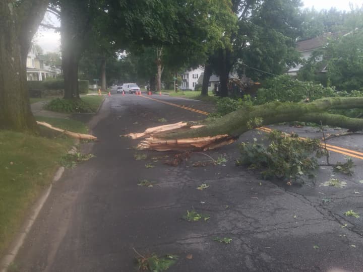 A massive fallen tree branch blocks Deer Hill Avenue in Danbury between Wilson and Seeley streets. 