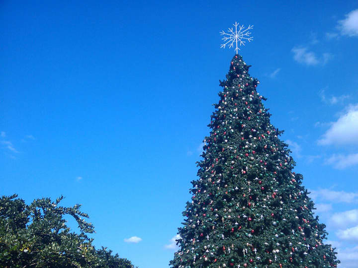 Ossining&#x27;s Annual Tree Lighting is set to take place Tuesday on Market Square. 