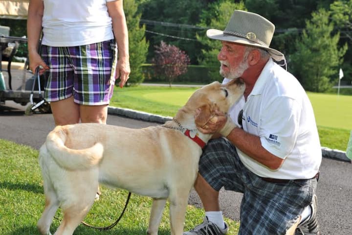 Yorktown&#x27;s Guiding Eyes for the Blind recently honored its first &quot;Dog of the Year,&quot; Tanya, a 9-year-old yellow Labrador retriever.