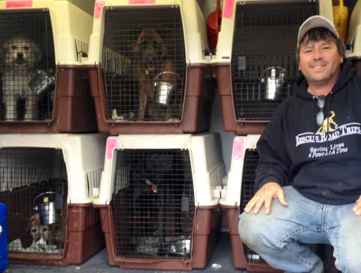 Greg Mahle shows off Rescue Road Trip&#x27;s trailer, which holds up to 68  dogs and brings them to their forever homes in Danbury.