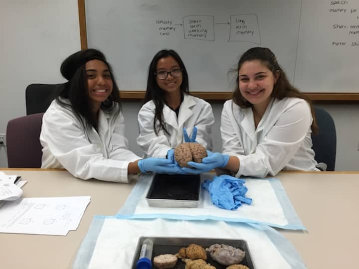 BASE Camp students, from left, Gallerie Quezada, Phonsavahn (Katai) Keophannga and Charlotte Haas took part in the &quot;Studying Autism and the Brain&quot; research project led by Shannon Harding and Laura McSweeney. 