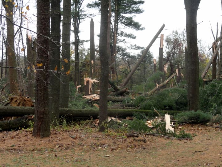 North Castle was left with a lot of storm cleanup after Hurricane Sandy, which has a large cost.