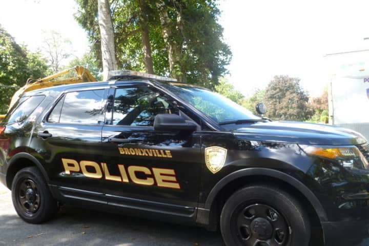 Bronxville police arrested a 58-year-old man accused of an assault at his home.