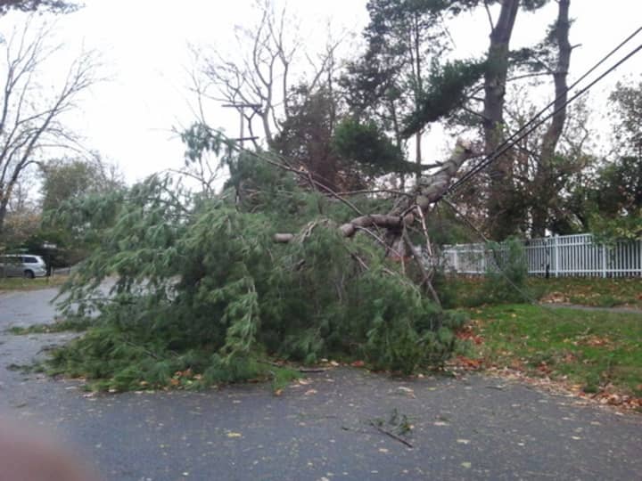 The Rye Brook Board of Trustees voted to use money from its contingency fund to pay for worker overtime during Hurricane Sandy as well as continued tree cleanup.