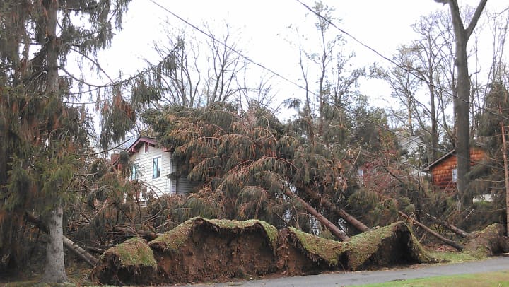 Hurricane Sandy leaves downed trees and power lines across Peekskill and Westchester County.