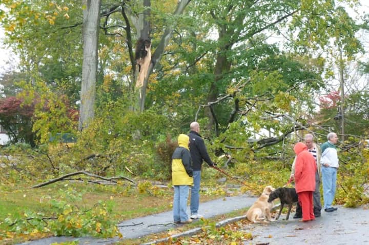 Neighbors stand outside to assess Hurricane Sandy&#x27;s damage on Greenacres Avenue in Hartsdale on Oct. 30.