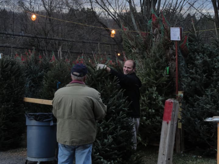 Purchase a Christmas tree this weekend at United Methodist Church in Pleasantville.