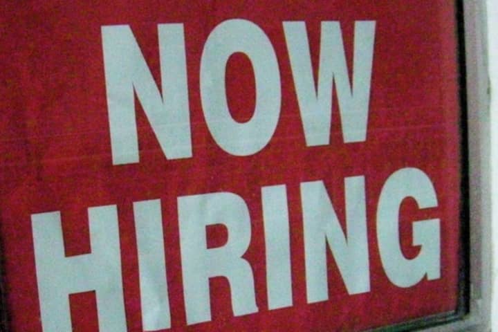 Several jobs are available in White Plains this week.