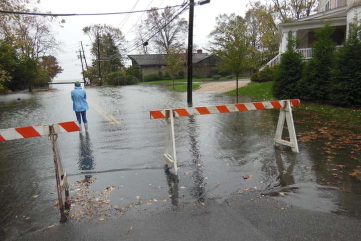 Orienta Avenue and Flagler Drive were among the sites flooded by Hurricane Sandy