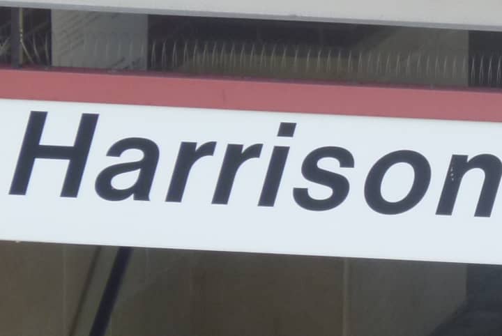 Harrison is moving in the right direction for 2013, according to trustee Marlane Amelio. 