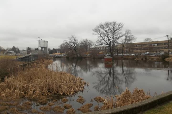 The Town of Harrison plans to build three dams to remediate flooding by the duck pond at Nelson and Union avenues.