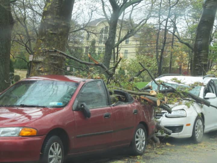 Downed tree branches sit on a car in New Rochelle following Hurricane Sandy