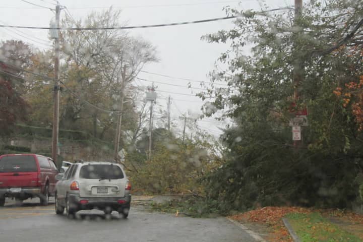 Tree branches and wires were down across New Rochelle after Hurricane Sandy ripped into town
