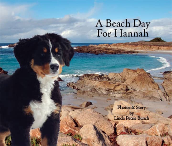Linda Petrie Bunch, author of the children&#x27;s book &quot;A Beach Day for Hannah,&quot; will appear at the Rye Free Reading Room at 2 p.m. Jan. 19 along with a mystery guest.
