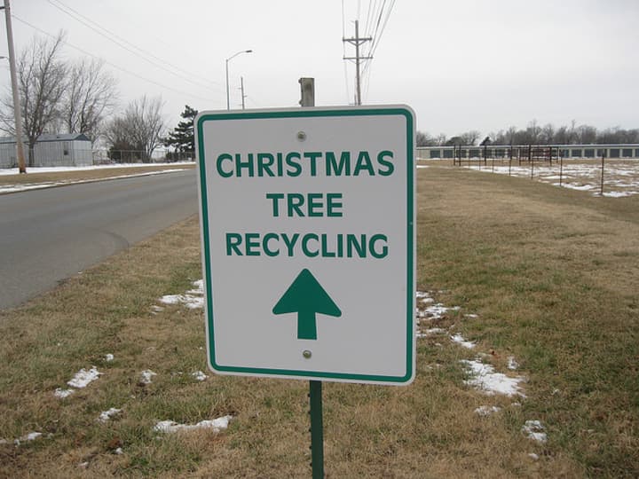 The City of Yonkers will collect Christmas trees left by the curb for recycling next week. 