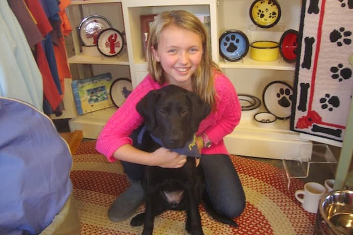 Darien sixth-grader Cailey Martin is training her puppy Sadie to be a service dog.