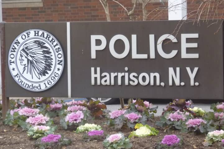 Crime decreased in Harrison from 2010 to 2011. 
