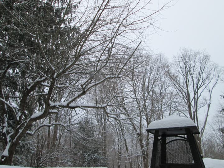 Several inches of snow an ice fell across Westchester County overnight.
