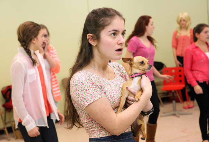 Armonk resident Alison Horowitz will play the role of Margot in the Random Farms Kids Theater production of &quot;Legally Blonde.&quot;