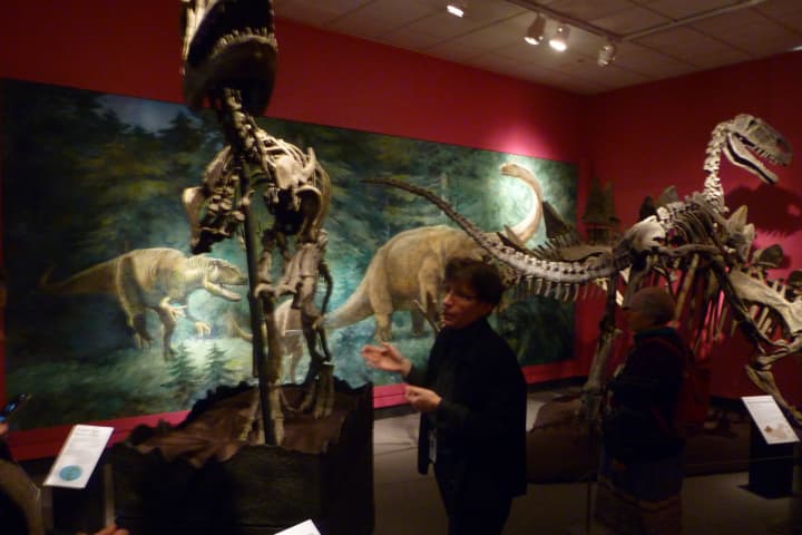Bruce Museum Curator of Science, Gina Gould, talks about the dinosaurs on display in the new exhibit at the Greenwich museum.