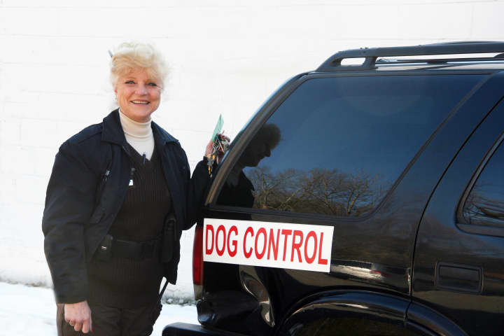 Helga Stanton has been Somers Dog Control Officer for nearly 17 years.