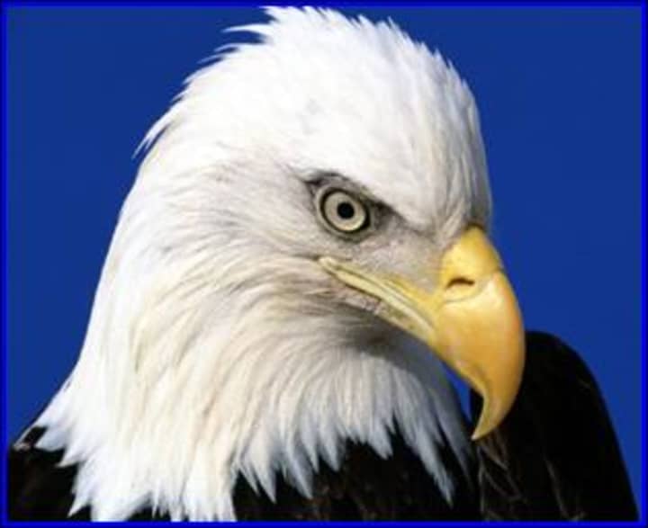 Teatown&#x27;s EagleFest 2013 has been rescheduled for 9 a.m. to 4 p.m., Sunday, Feb. 10. 