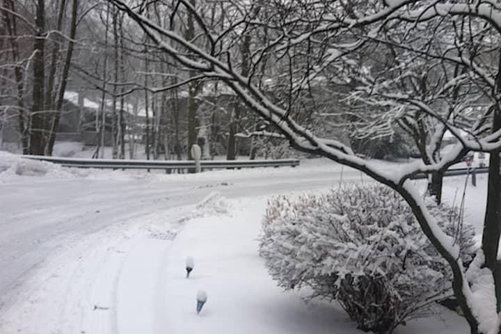 What did Nemo do to your backyard, Greenburgh? Send us your photos.