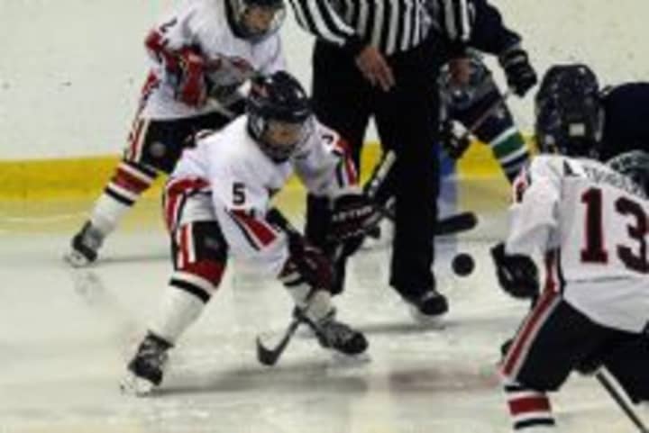 Stamford Youth Hockey Association will hold a free hockey clinic Saturday at Terry Conners Ice Rink. 